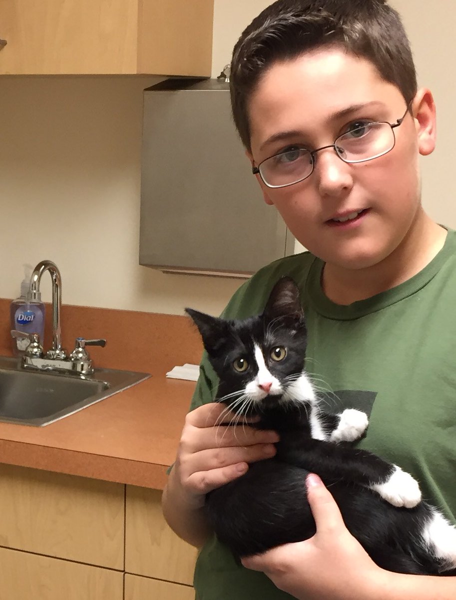bella_cat7's tweet photo. You will NOT believe what they did with that thermometer! 😱 https://t.co/JkJOFxwtNt