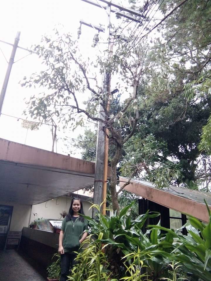 karacltn's tweet image. yung required kayong magpa picture sa poste ng kuryente. 😂 hahaha

#buildingutilities