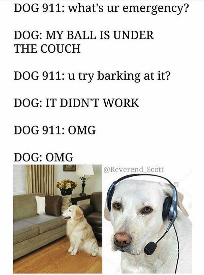 lukepottermusic's tweet photo. Just In case you needed a laugh 😊 https://t.co/6EWMcABJBA