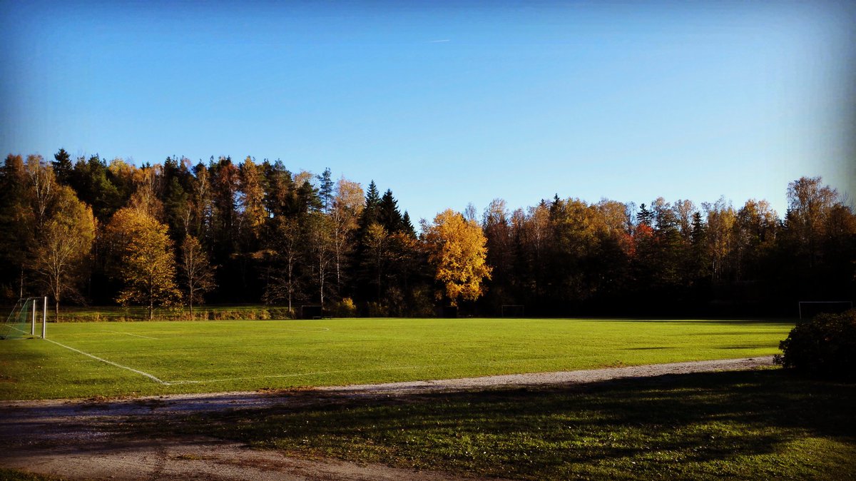 SC_Wolves's tweet photo. Koivuhaka hiljenee tämän kauden osalta.
SCW - FC Legirus Inter 0-5 (0-4)
#SCWolves #SuomenCup #SudenVuosi #SCW10 https://t.co/vDStZCzuyL