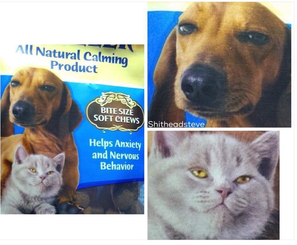 YouHadOneJ0B's tweet photo. What kinda drugs are they putting in the animal treats? https://t.co/grlr3VZq0G