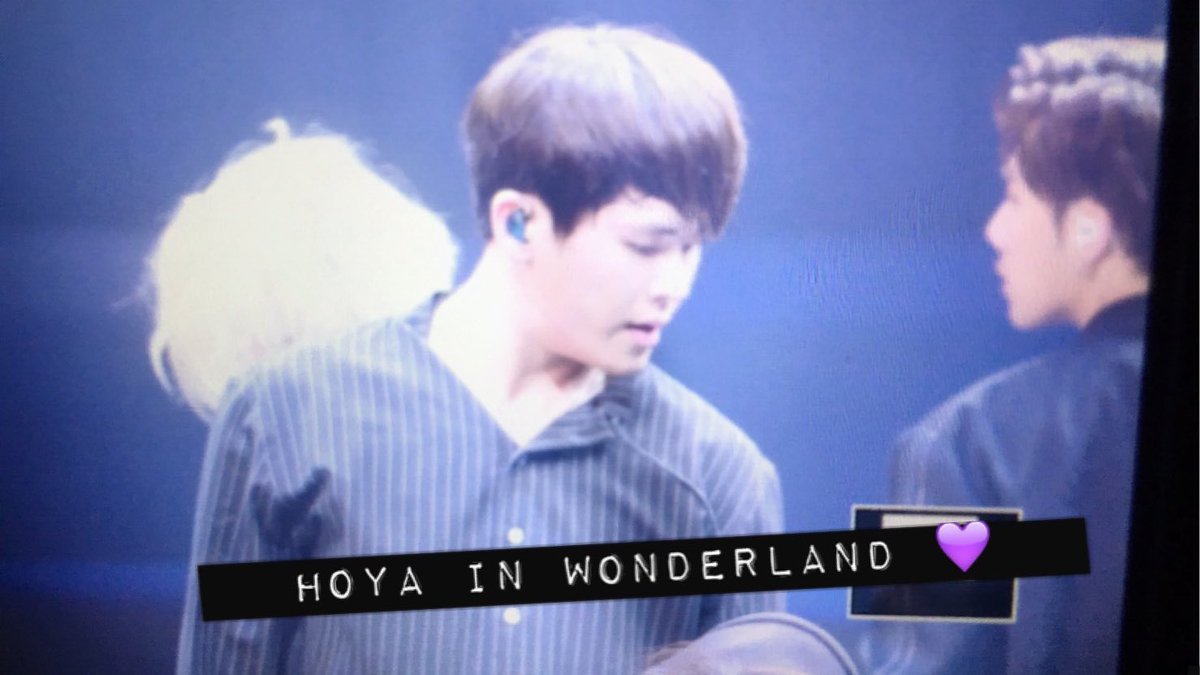 hoya in wonderland (@hoyawonderland) / Posts / X