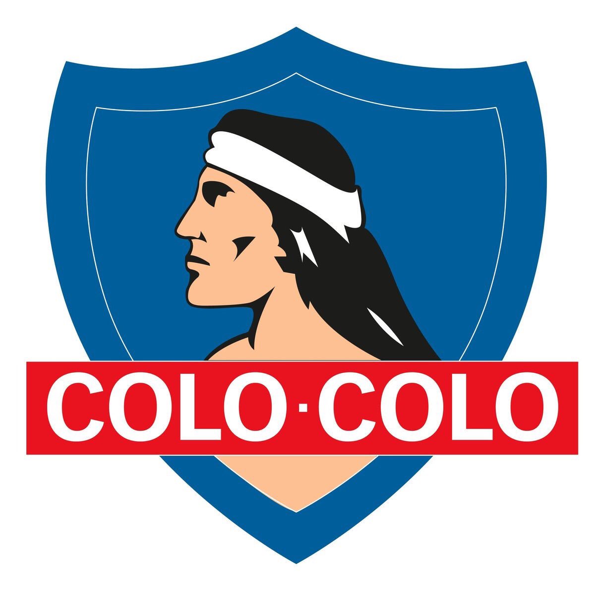jlrojas73's tweet photo. A DEJARLO TODO COLO COLO POR LA CONCHETUMADRE #VamosColoColo https://t.co/AiBGlcgm5d