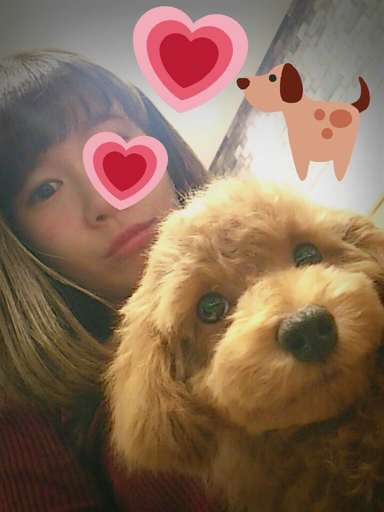 usariiko's tweet photo. 新しい家族のるなくん🐶❤❤
かわいい😍しあわせ😍毎日はっぴー😍←
ちっこくてふわふわもふもふで寂しんぼのいたずらっ子だけど、これからリッキーともなかよくみんなで思い出作っていけたらいいなー(*´ω｀*)💗
るなくん養うため一生懸命頑張ります https://t.co/hqbI4vkYPz