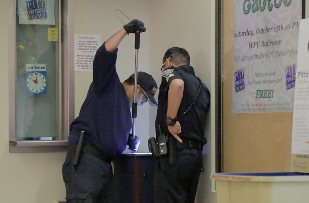 theodschwarz's tweet photo. Pittsburgh Animal Control removes a raccoon from the ground floor of the William Pitt Union. @ThePittNews https://t.co/IC4fzy1Hcq