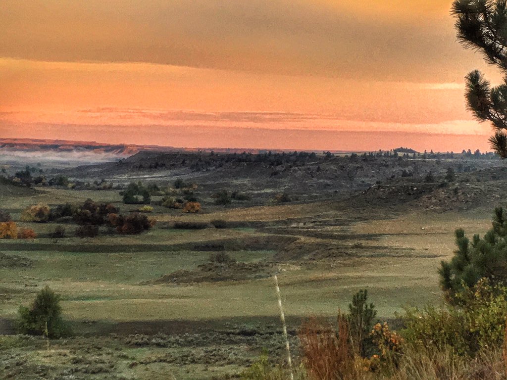 KristyTitus's tweet photo. This is what heaven looks and  sounds like. Bugling Bulls got me all fired up! #rmef #teamelk #teamcabelas https://t.co/KvODWeDVbl