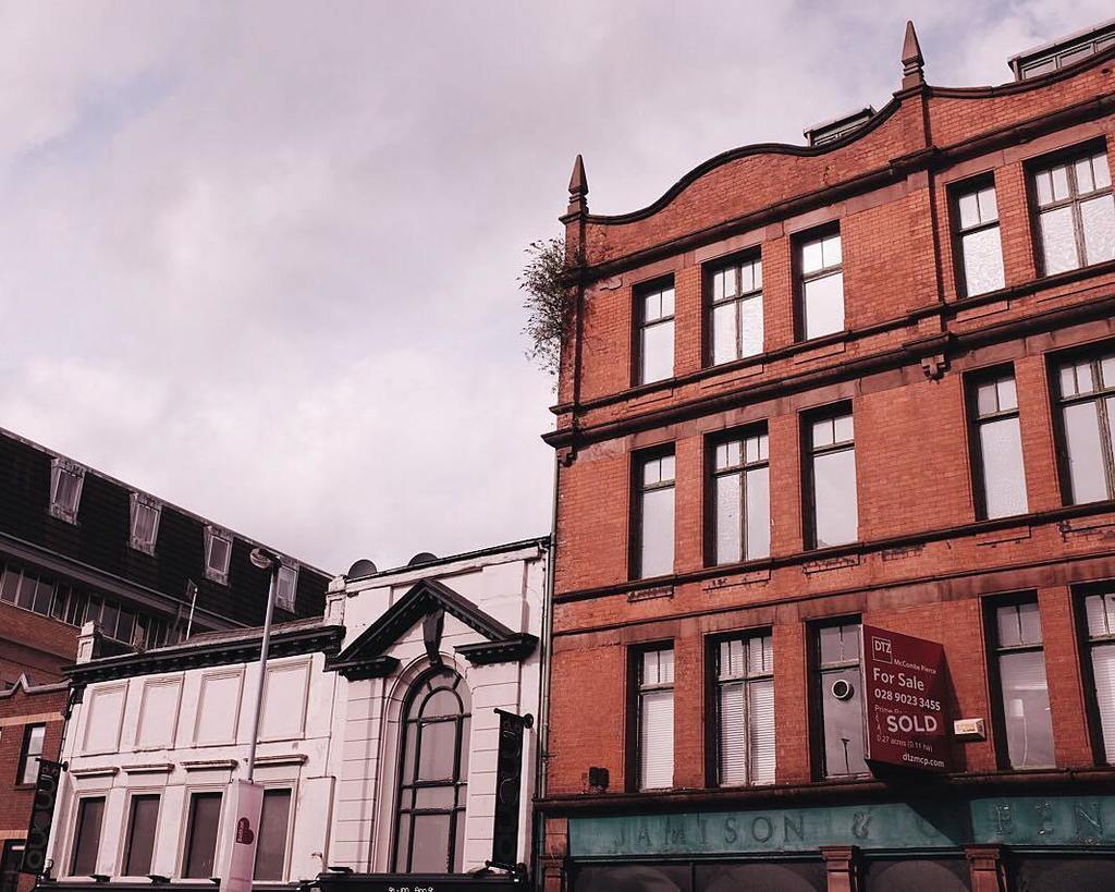urbanbelfast's tweet photo. More 🌱 growing out of 🏢 https://t.co/qC3QBlYUrx https://t.co/UoAuW2F6KC