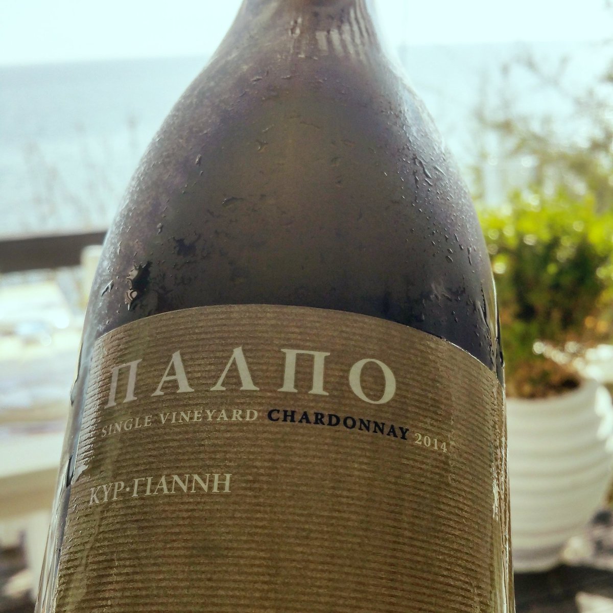 TouratzisUmami's tweet photo. Sundays by the sea, boosted by Greek wine elegance.
Palpo Chardonnay by @kiryianni estate.
Soon to be hosted by #TouratzisUmami events! https://t.co/u9OZ4aic2D