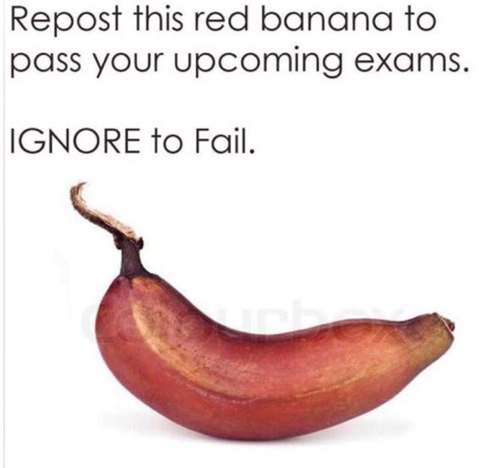 all_in_yo_girl's tweet photo. I'm sorry y'all ....I need this https://t.co/QhP7Y8Tace