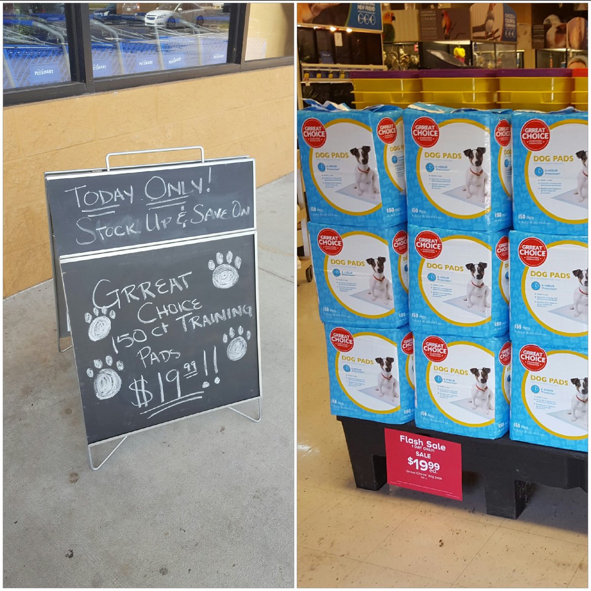 PetSmart 637 tweet media