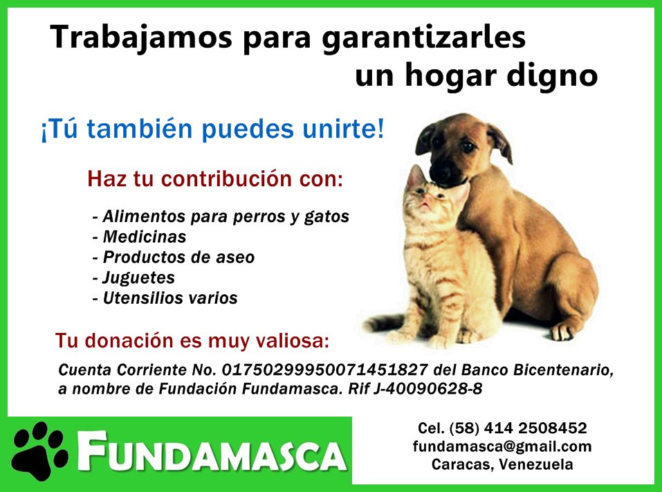 Fundamasca's tweet photo. Por el #rescate y cuidado de más #mascotascallejeras, ¡Apóyanos! #Apadrina #Adopta #Dona Cel. 0414 2508452 #DonarEsAmar #Perros #Gatos https://t.co/ixz8dx8UDm