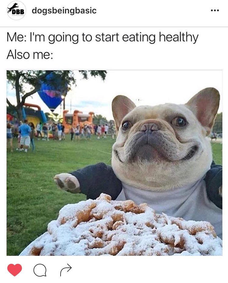 ChefForLife's tweet photo. Just one more... #dogsbeingbasic #basicbaes #hilarious https://t.co/J2ZXJrIcFw
