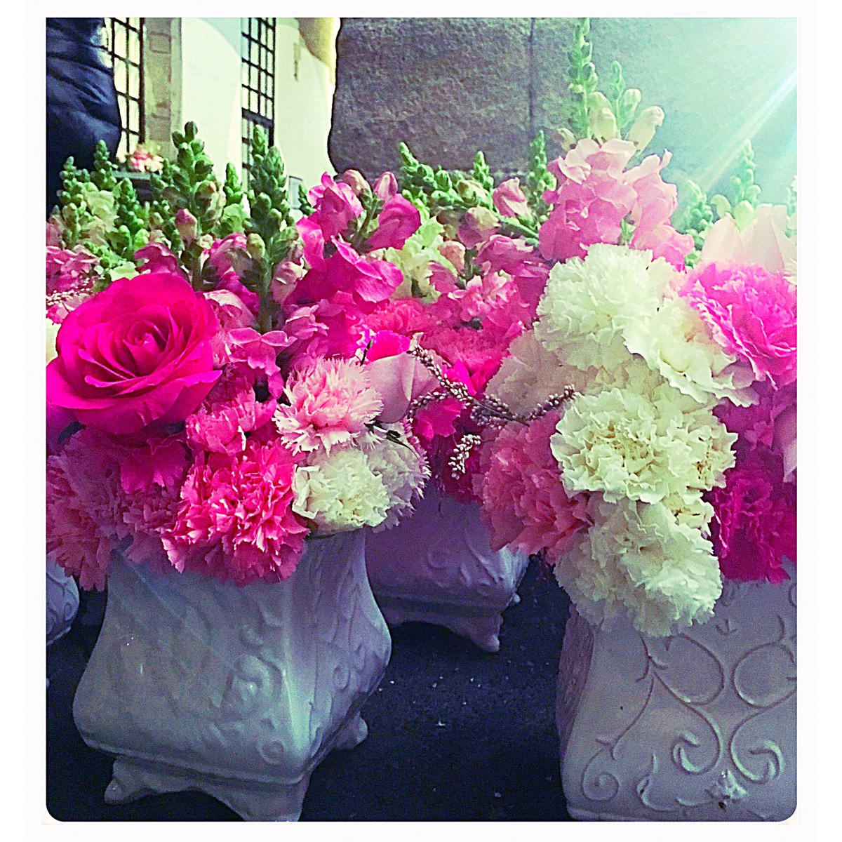 Un poco de flores para este domingo!!