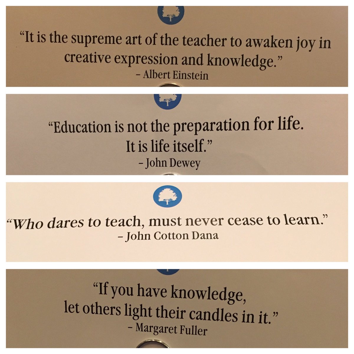 ProfCareyJWU's tweet photo. Great sessions @teachprof #TPtech16 ...inspired and excited to try new strategies with @JWUProvidence students! https://t.co/OrRO8davVL