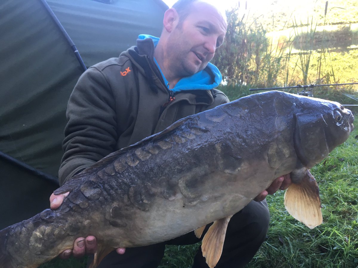 morrey_stuart's tweet photo. Just a few I had using the test bait from #corebaits_uk and also the team .#teamcorebaits size 8hook blow bk rig booom fish on on🐟get on it https://t.co/uEHgy5o1B5