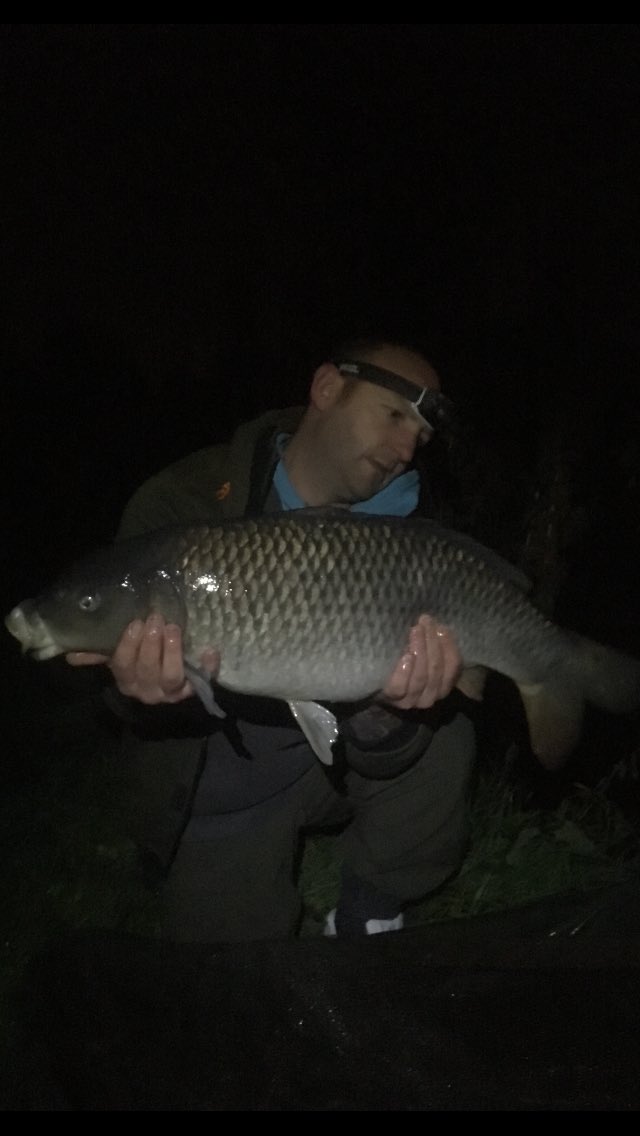morrey_stuart's tweet photo. Just a few I had using the test bait from #corebaits_uk and also the team .#teamcorebaits size 8hook blow bk rig booom fish on on🐟get on it https://t.co/uEHgy5o1B5