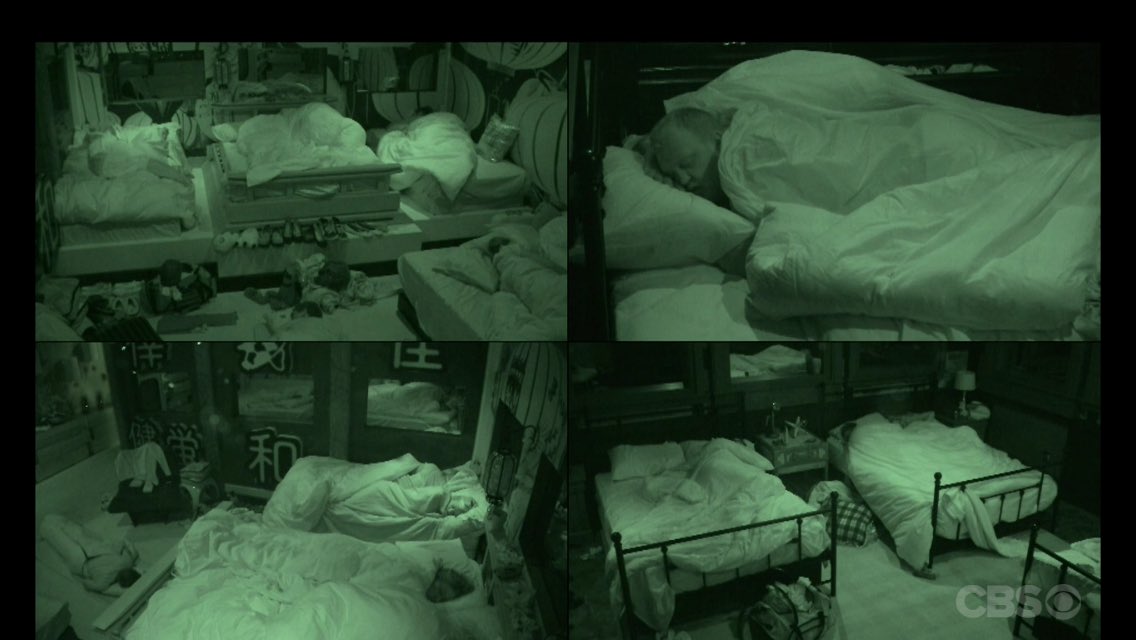 BBCastStatus's tweet photo. All of the houseguests are 😴 #bbott https://t.co/SXAUrbF7ie