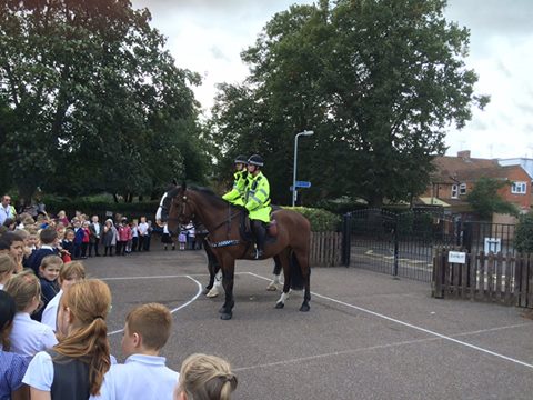 Lovely to have a visit from PC Small &amp; PC Smith and <a href="/ASPoliceHorses/">ASPoliceHorses</a> Brunel and Jubilee at School on Thursday.
