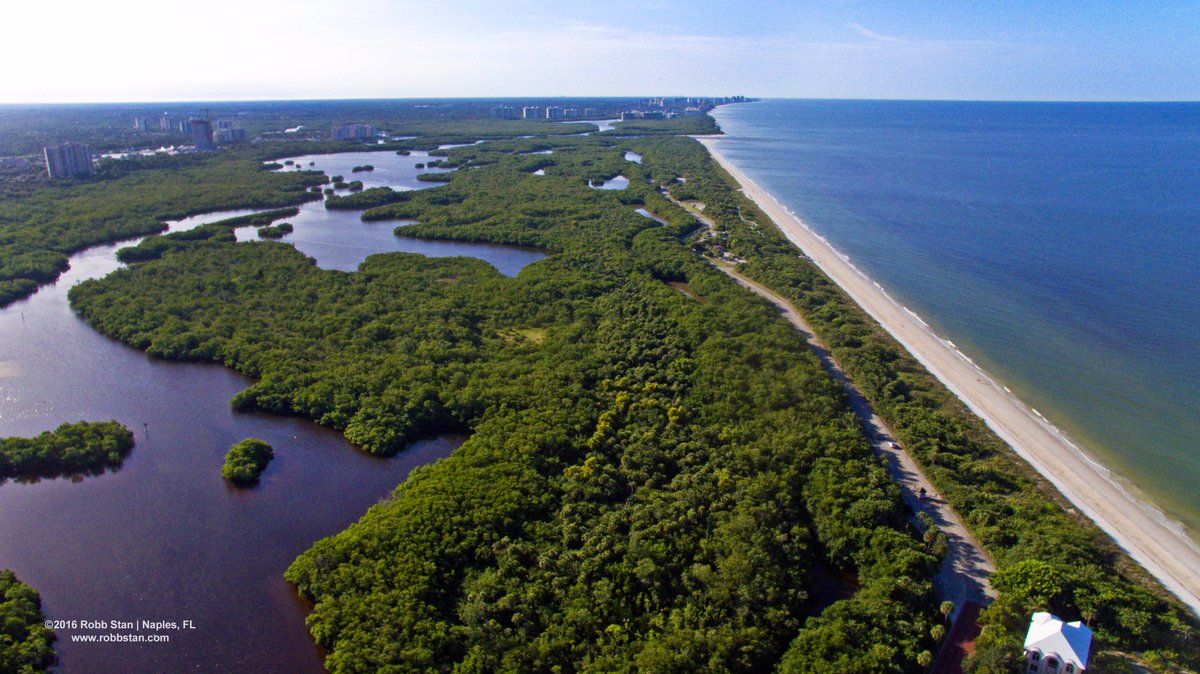 SWFLTV's tweet image. Barefoot Beach Preserve in Naples, FL. #SWFL #BarefootBeach #NaplesBeaches #NaplesFlorida #LoveFL #LoveNaples #ParadiseCoast #BestBeaches