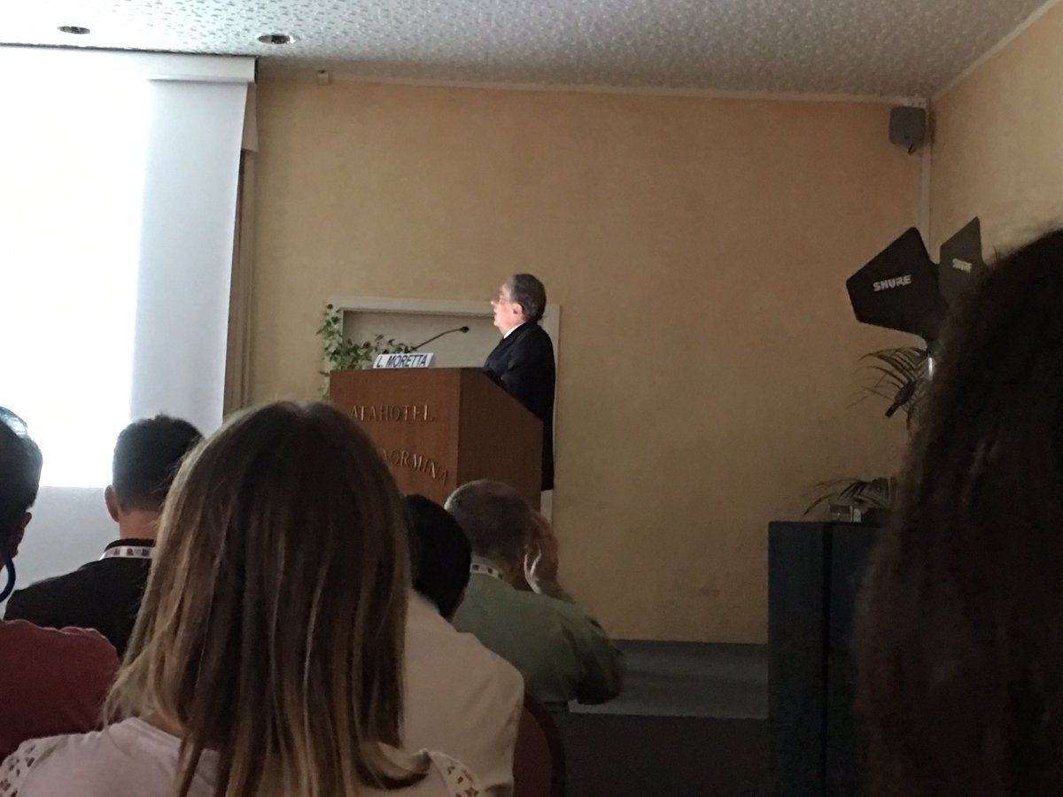 bjorkstrom_lab's tweet photo. L Moretta giving keynote talk at #nk2016 meeting in Taormina, Sicily #nkcells #nbgroup https://t.co/YZKNUVpzmq