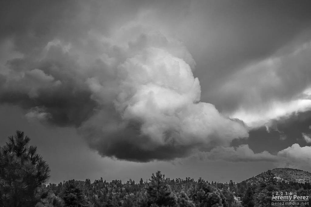 jperez1690's tweet photo. Another from Friday—Flagstaff/E Rt66—I love it when the updraft manages to stay isolated like this. #azwx #monsoon2… https://t.co/ffRW9ytFRP