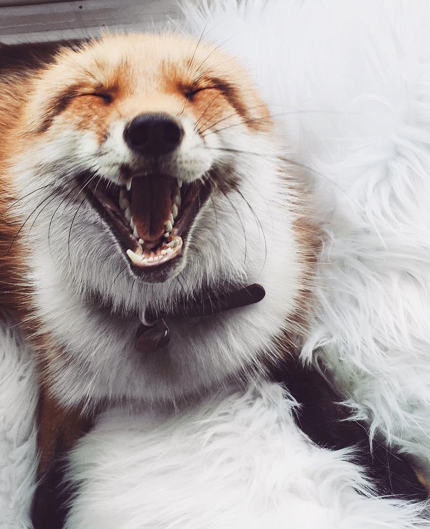 sᴀᴅ ᴘɪᴄs (@sad_pic) on Twitter photo 