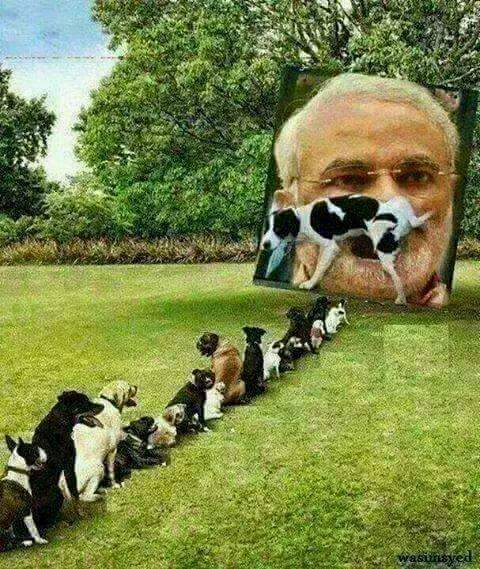 AliRizviSyed34's tweet photo. https://t.co/JNeDOrrfpM