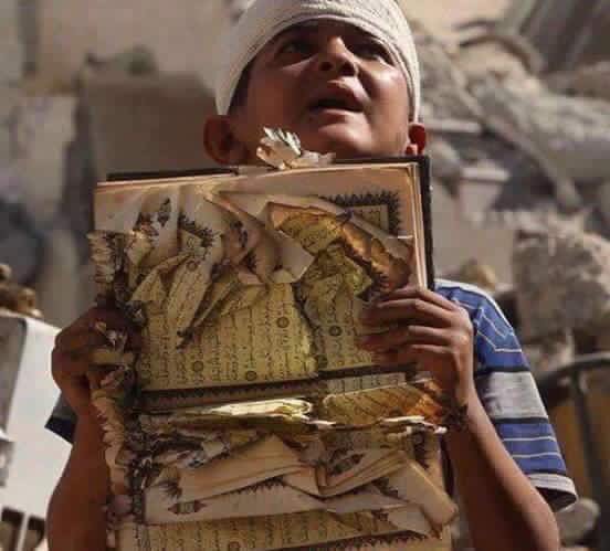نقرتين لعرض الصورة في صفحة مستقلة