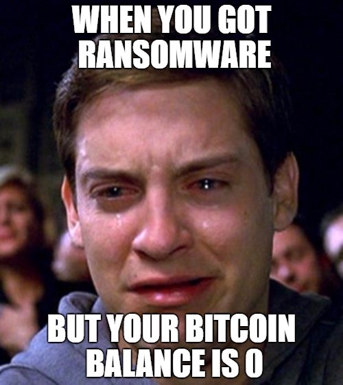 CyberAuditMan's tweet photo. when you got #Ransomware but your #bitcoin balance is 0 #cybersecurity #justcybersecuritythings #cybermemes #cyberproblems https://t.co/hEvEK6iHW5