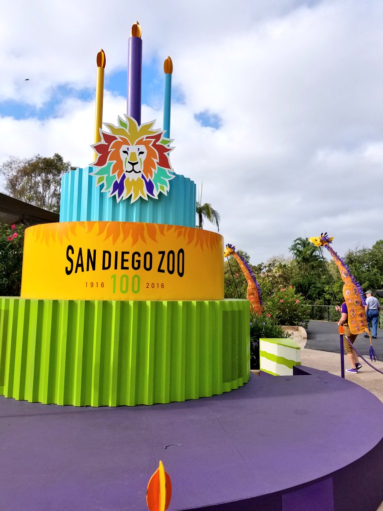 morrowchris's tweet image. #zoo celebrates #100 #happybirthday today #sdzoo100 #SanDiego @sandiegozoo @CNN