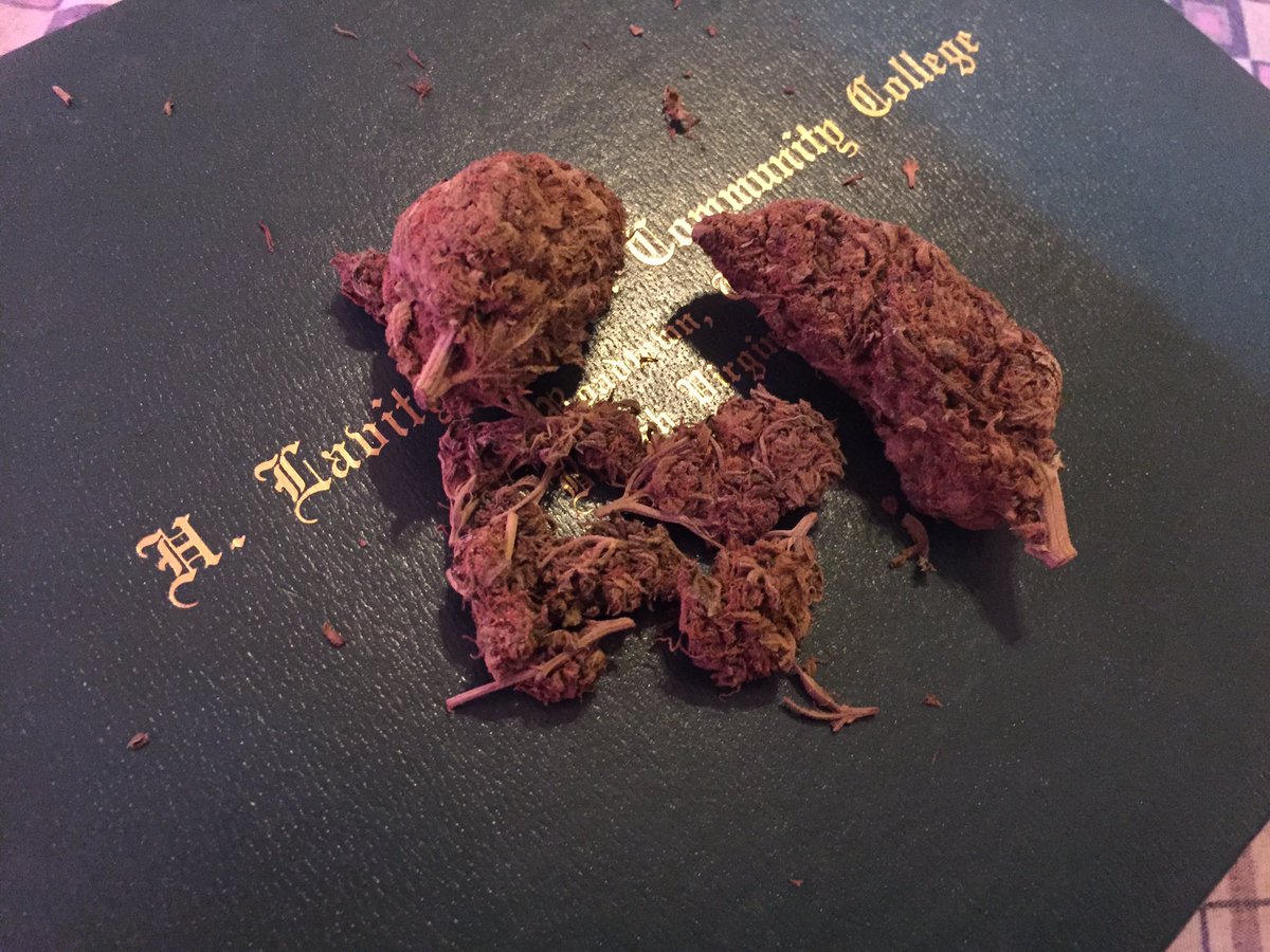 Mr. Wilson tweet media