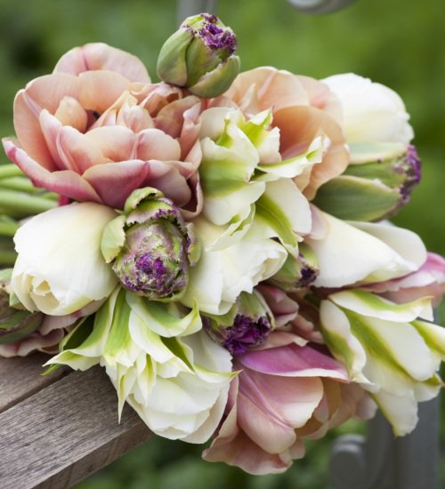 Garden Flowers tweet media