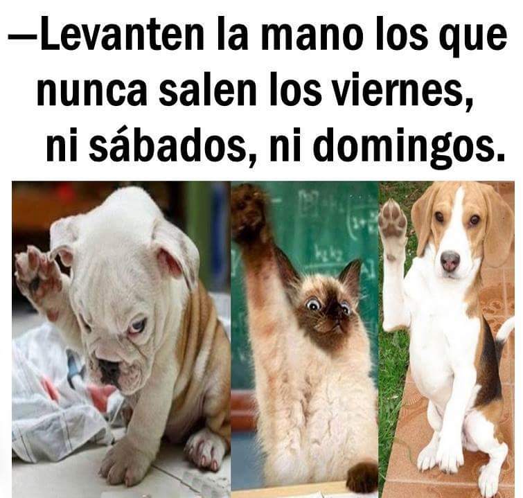 AmorEnTweet's tweet photo. ✋ https://t.co/LfyNeo6q4r