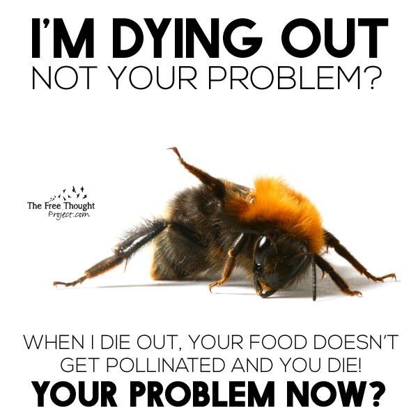 rssmith0033's tweet photo. People need to figure pu why this is happening #beesaredying https://t.co/oHyAnu2XMb