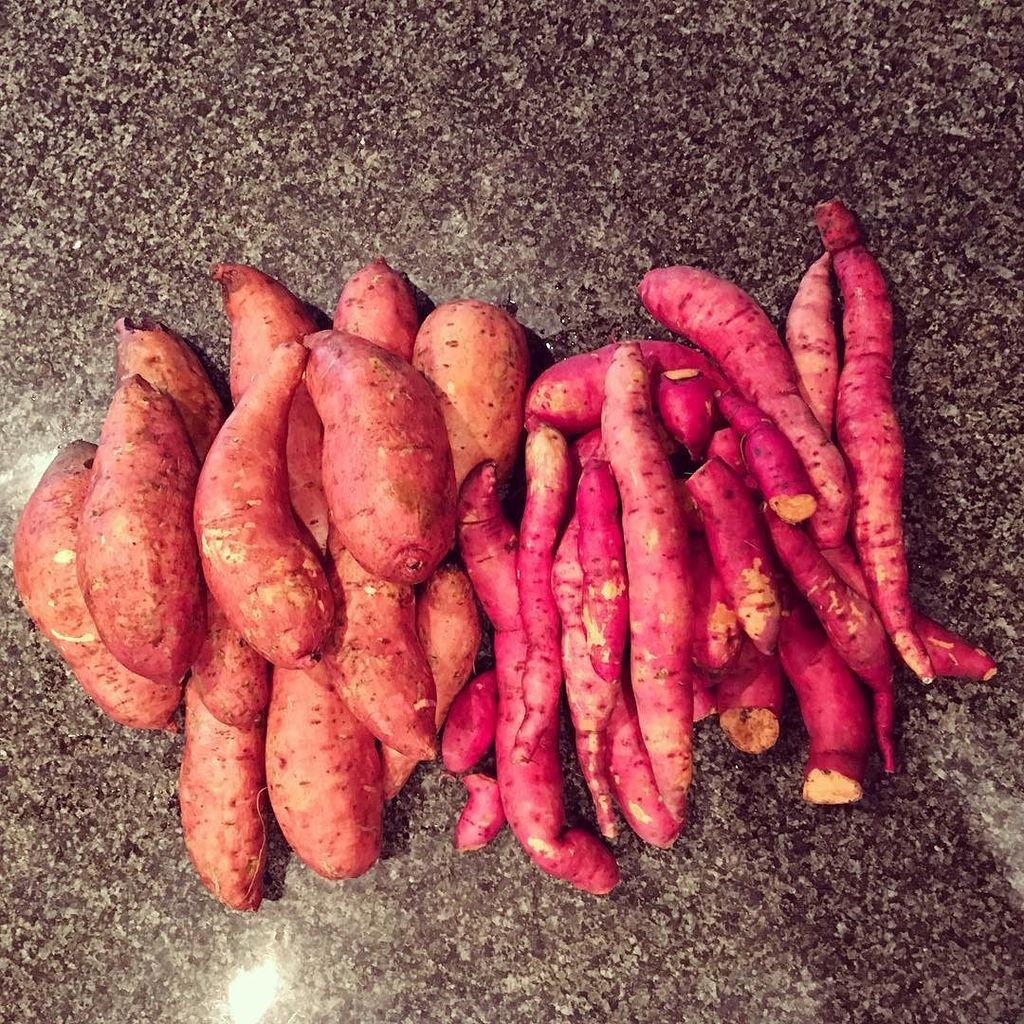Kristie's tweet photo. Sweet Potatoes: My Dad's Vs Ours #whodiditbest #wehavealottolearn #montrosemetracommunityg… https://t.co/cQDaveD14i https://t.co/Q5NZrJv74N