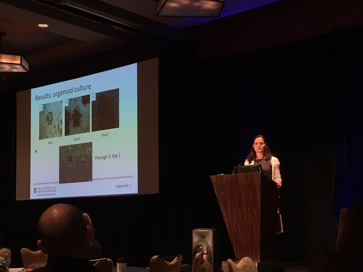 CGAIGC's tweet photo. CGA president-elect, @SoniaKupfer, discusses potential uses of organoids in hereditary CRC research #miniguts #CGA2016 https://t.co/4o6CybljG8