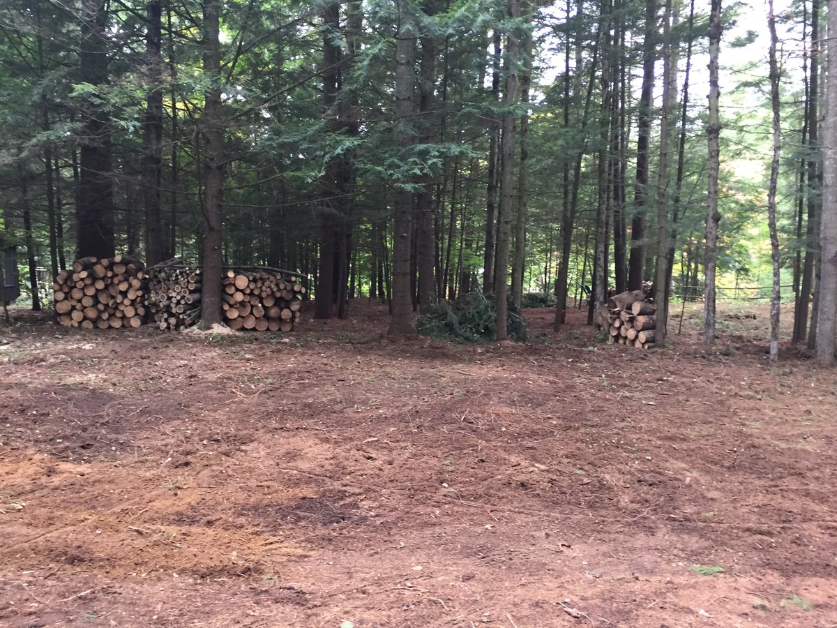 SJWill56's tweet photo. Mission accomplished in the back woods... Now heading to the ole homestead #IndiRivCmp #FallArrived in the #ADK https://t.co/VHNBLHfliX