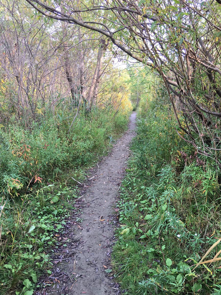 We hope your first October Sunday has been delightful &amp; bright. ✨