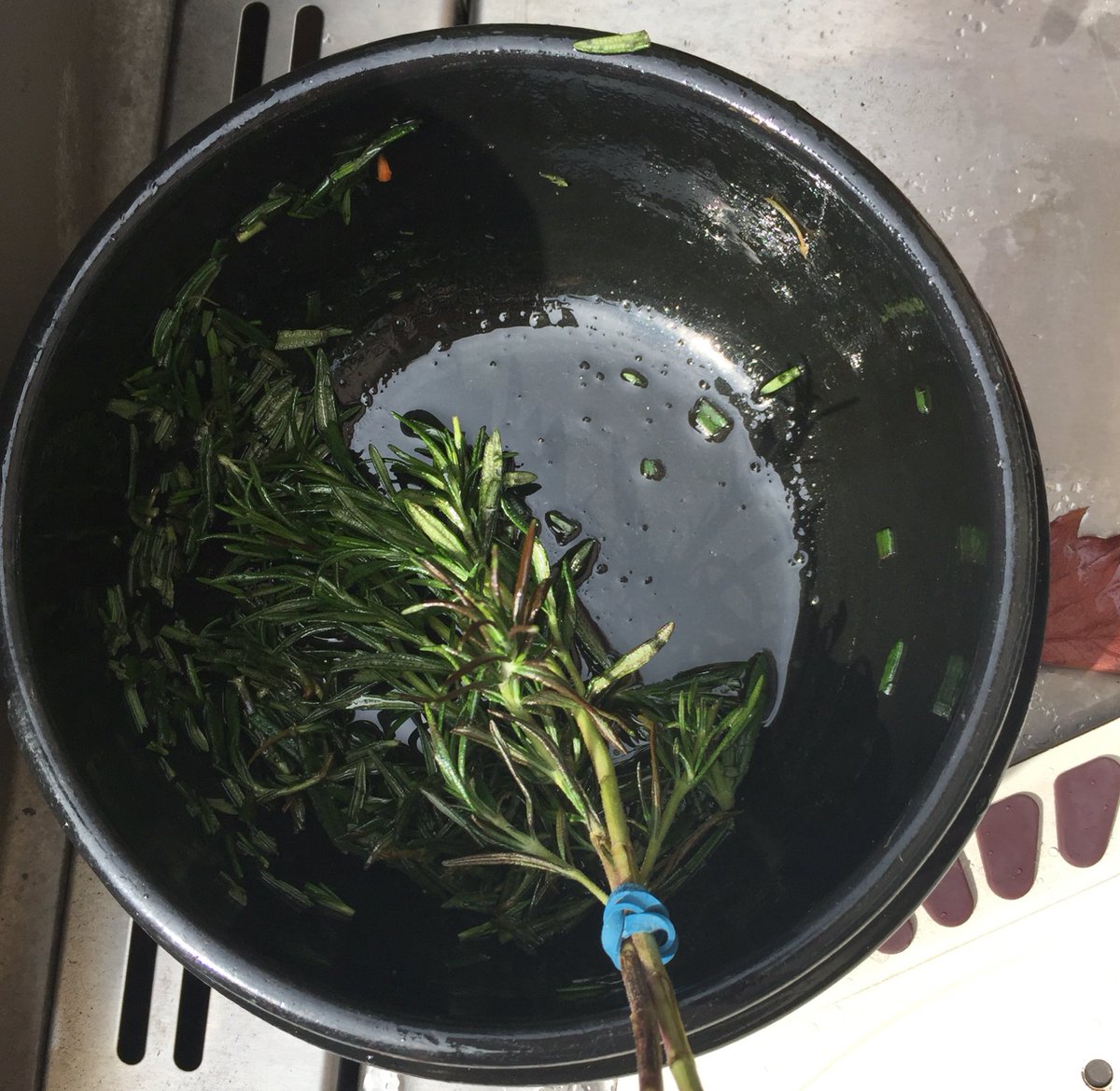 OUATPress's tweet photo. Thanks for the #rustic #Rosemary #oliveoil #paintbrush idea! #Autumn #leaves #bbq #Ontario #Canada #jamieoliver #foodtube @jamieoliver https://t.co/wjpw439OSw