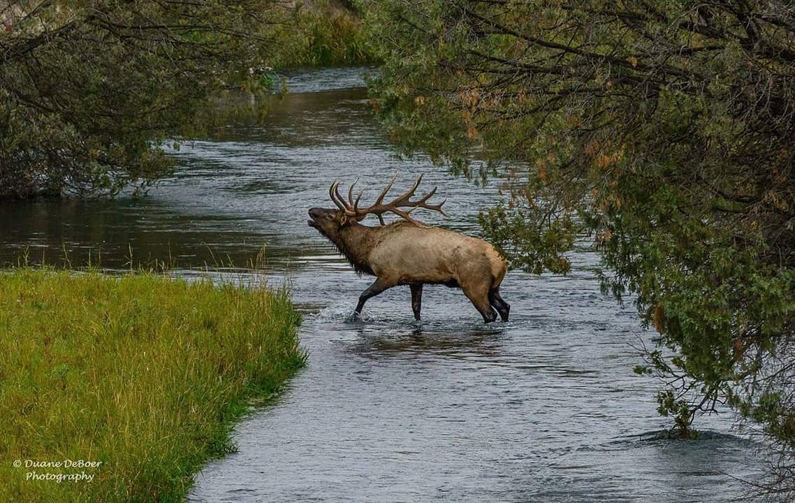 RMEF's tweet photo. Good Morning from #Montana! via Duane D. #RMEF #photo https://t.co/Qps5ZwflIQ