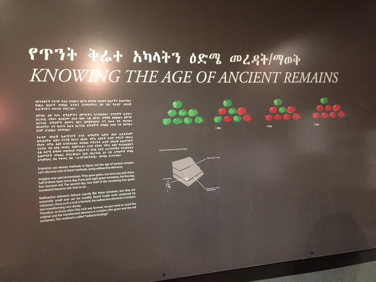 bradylabs's tweet photo. Radiodating described using red and green tomatoes! #tomatoesrule https://t.co/v03PHVEI9h