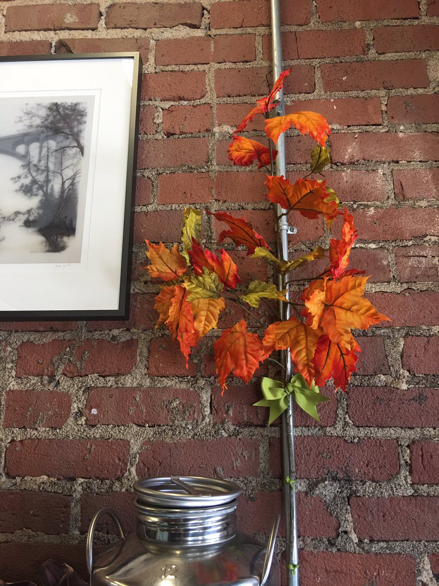 Pink51Inc's tweet photo. Bring it on fall. We're ready! #WomenEntrepreneurs #Success #fall #inspiration https://t.co/m8nVIWbAmI