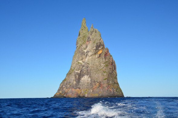 mymigrationapp's tweet photo. #DYK this barren sea spire is home to the world rarest insects? #Ballspyramid #Australia https://t.co/Fkfag6QeWC