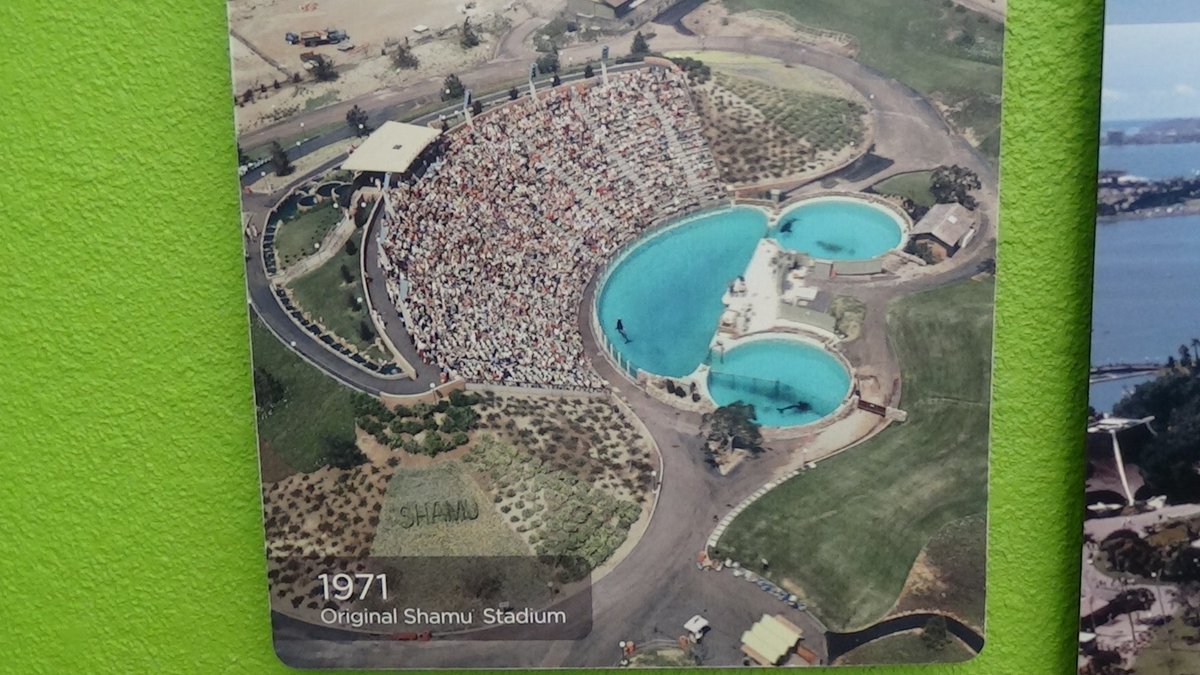 _BWProductions's tweet photo. Original Shamu Stadium and other 50 years of history photos. #StandWithSeaWorld #SeaWorldCares #SeaWorldStrong https://t.co/i39GMpoZHT