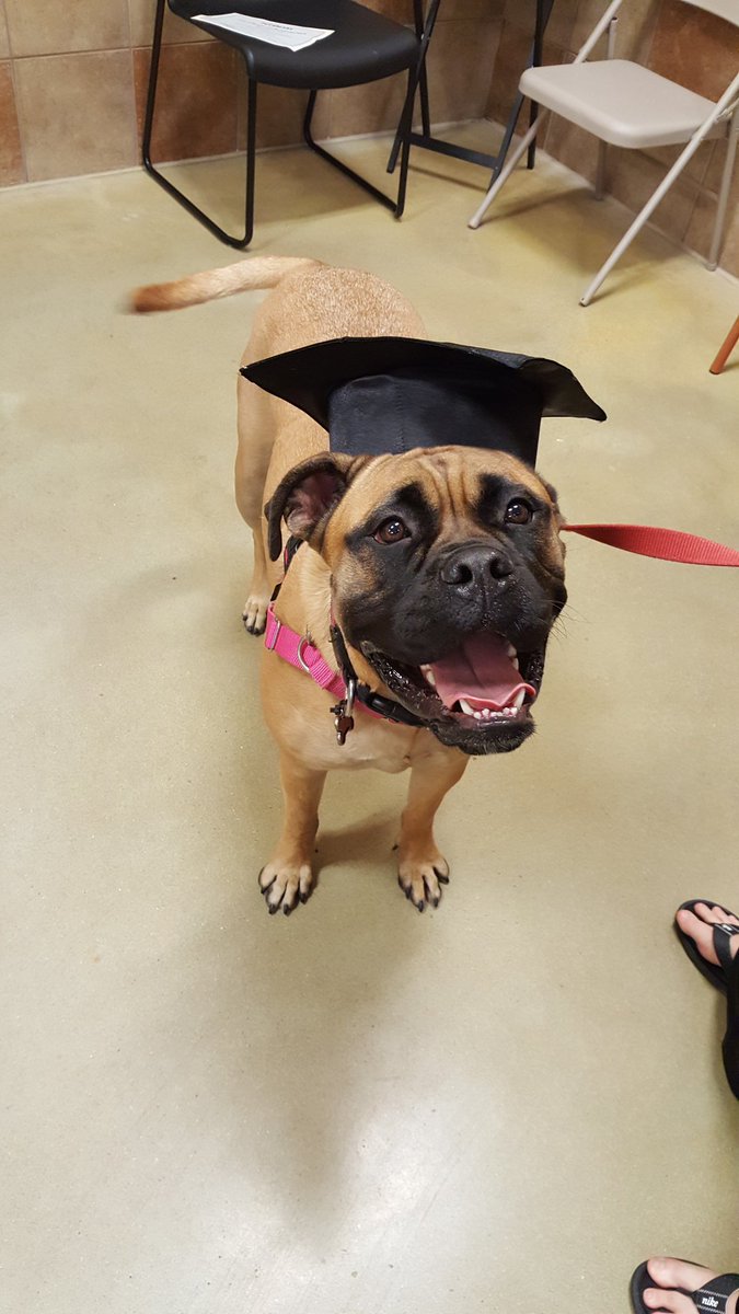AnnMcCann16's tweet photo. Romney graduation October of https://t.co/WS5EFKbCh7