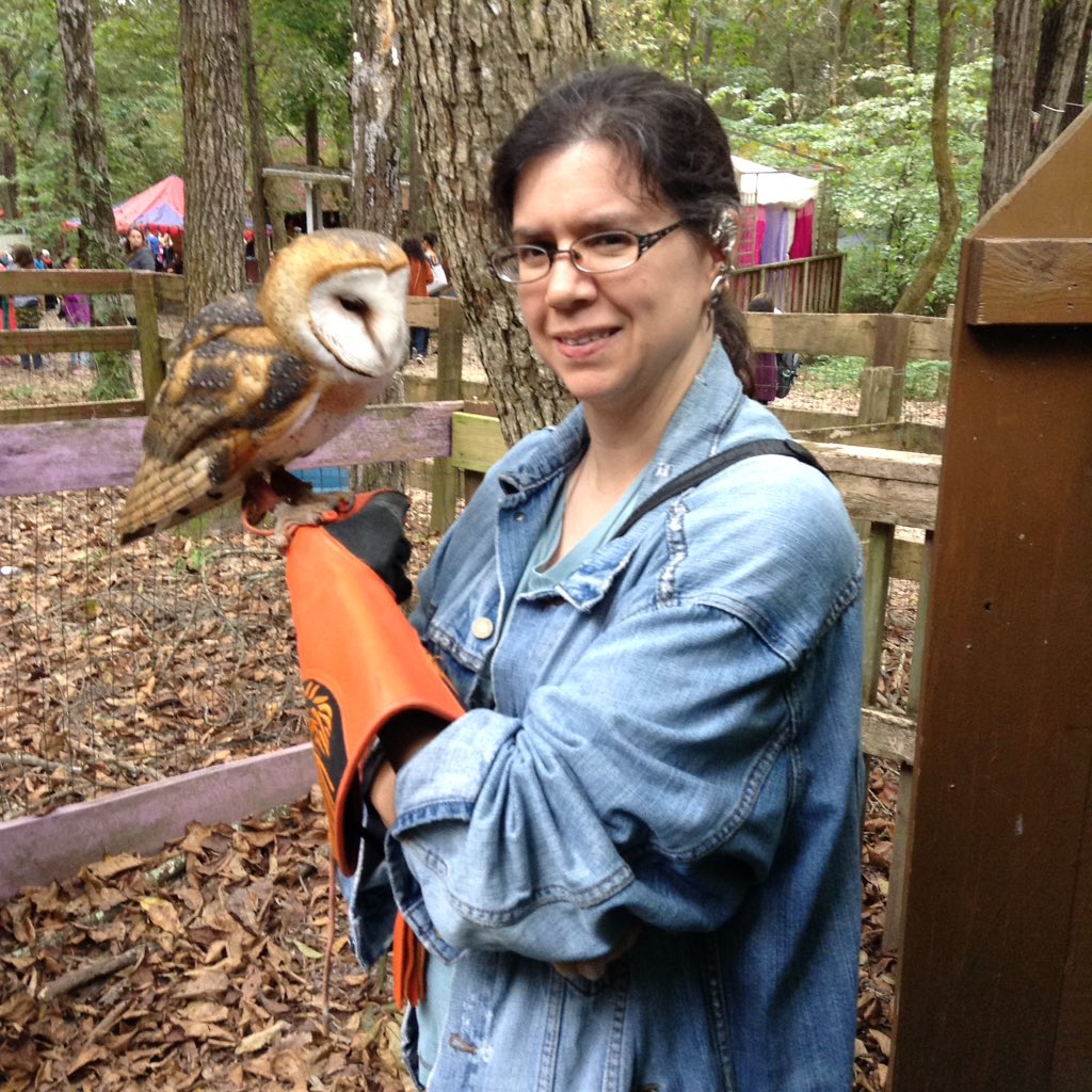 birdsbard's tweet photo. Lovely yesterday for @stlrenfest. Lots of creatures this year, including a petable owl courtesy of #wildlifecommandcenter. π https://t.co/JBHNdF3McN
