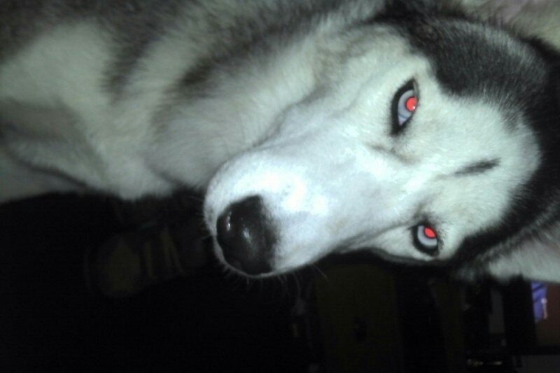 eric ripa on Twitter: 