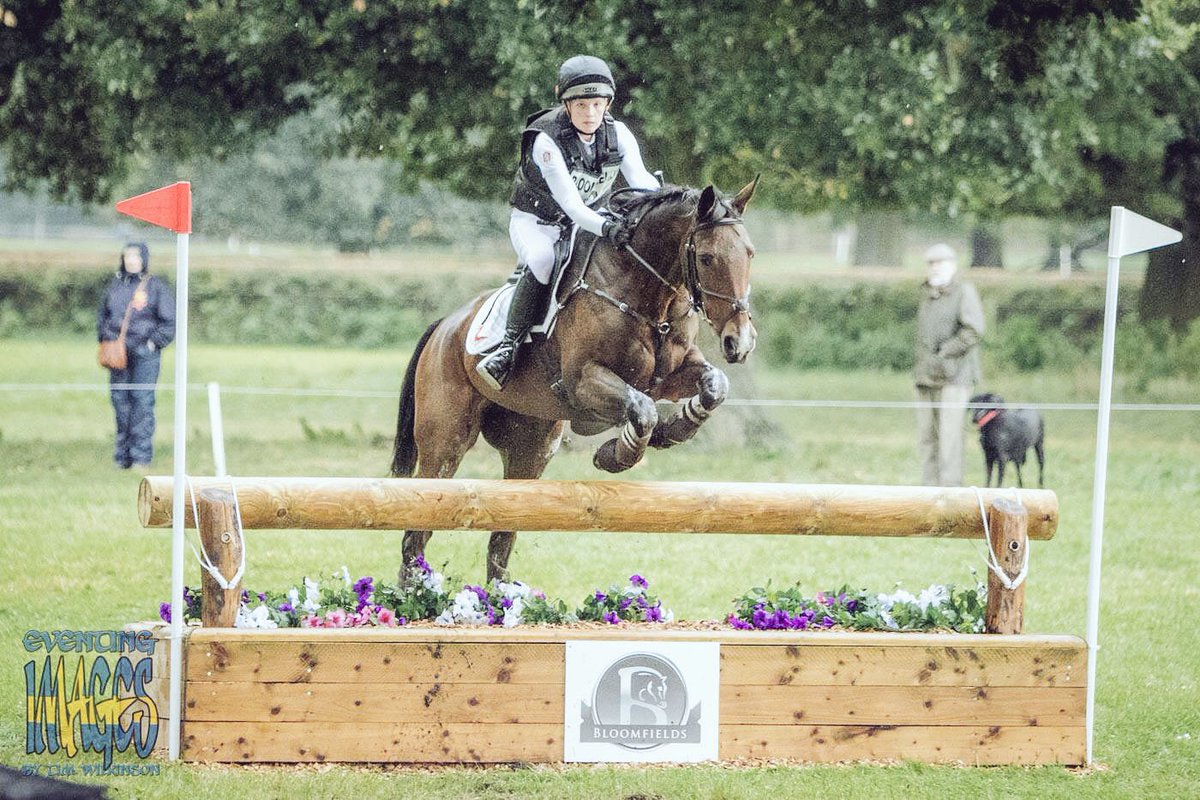 Osberton CCI2*..before it all went wrong🙄 #eventingimages