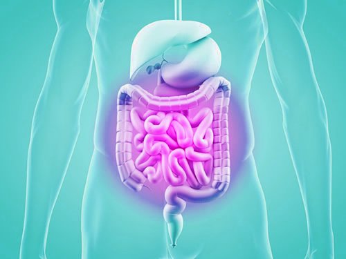 The_Microbiome's tweet photo. Childhood undernutrition, gut #microbiota, &amp; microbiota-directed therapeutics @sciencemagazine #microbiome portal https://t.co/LrP7IkIsUw https://t.co/L8rZuhrBBL