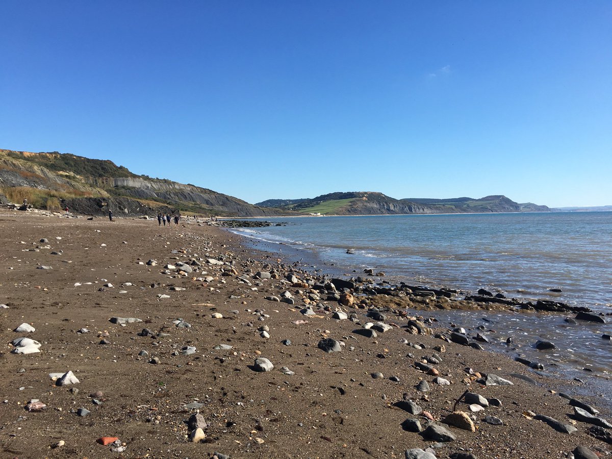 DaveDev's tweet image. Today&apos;s #fossilwalk